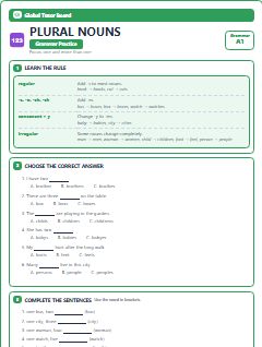 First page of Plural Nouns