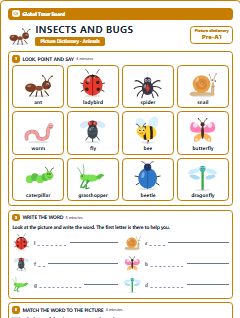 First page of Picture Dictionary: Insects and Bugs, Pre-A1 vocabulary list